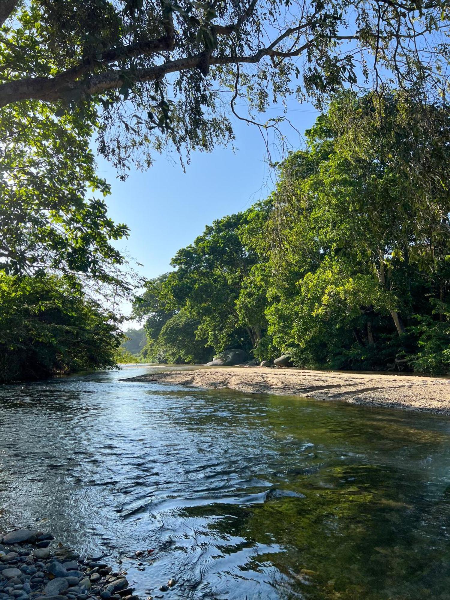 Tayrona Cachaco River Ecohostal El Zaino Exterior foto